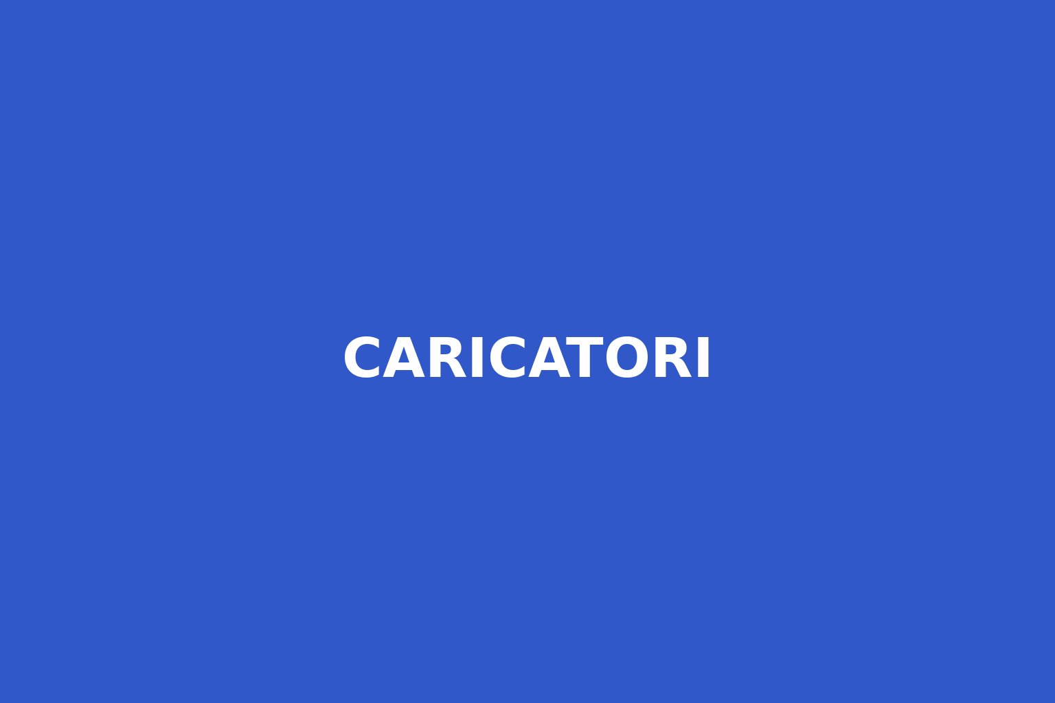 Etichetta blu con la scritta Caricatori – categoria caricabatterie per modellismo RC