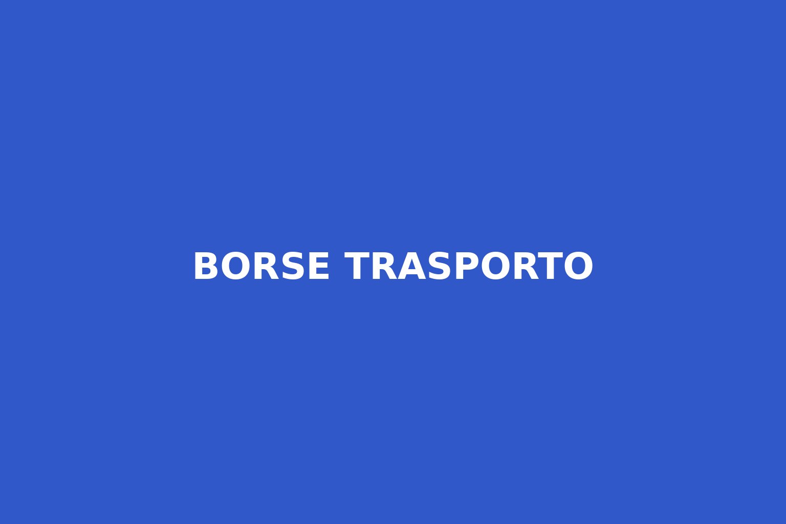 Etichetta blu con la scritta Borse Trasporto – categoria borse per modellismo e RC